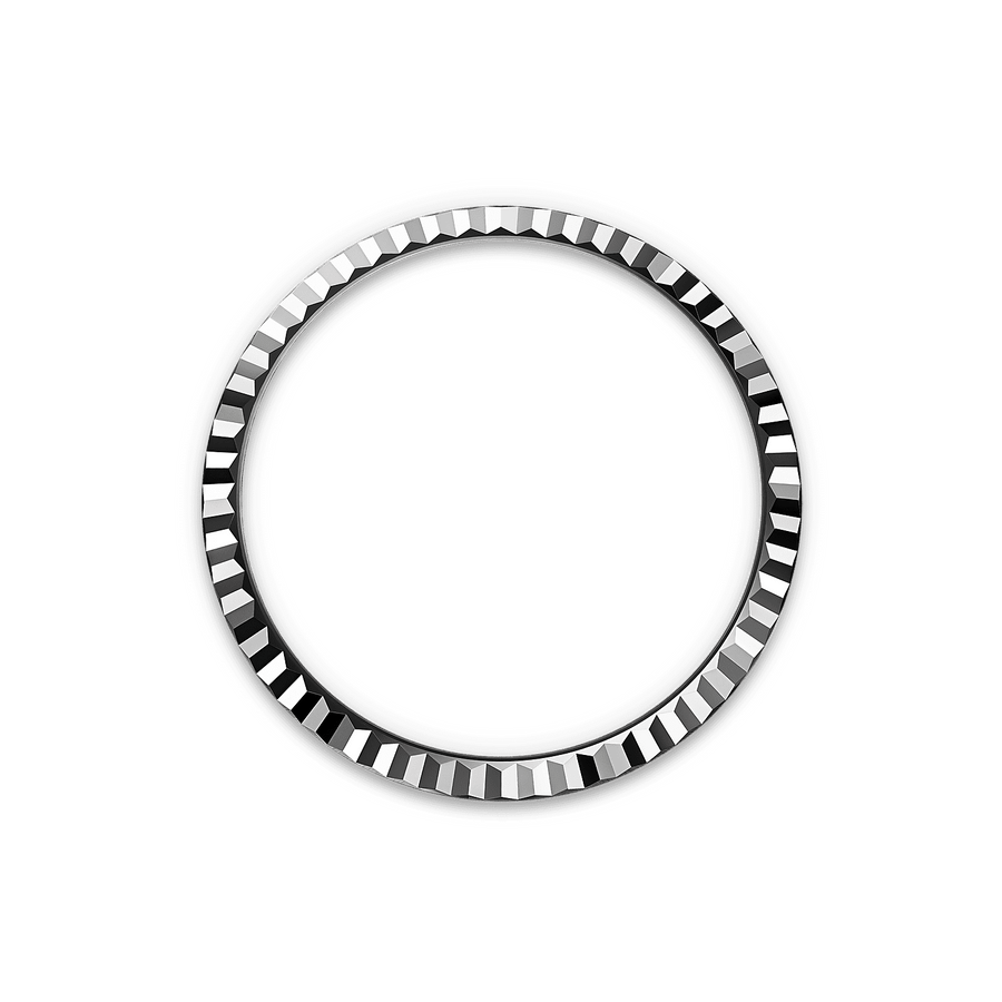 Land-Dweller 36mm Oystersteel & White Gold M127234-0001 — image 4