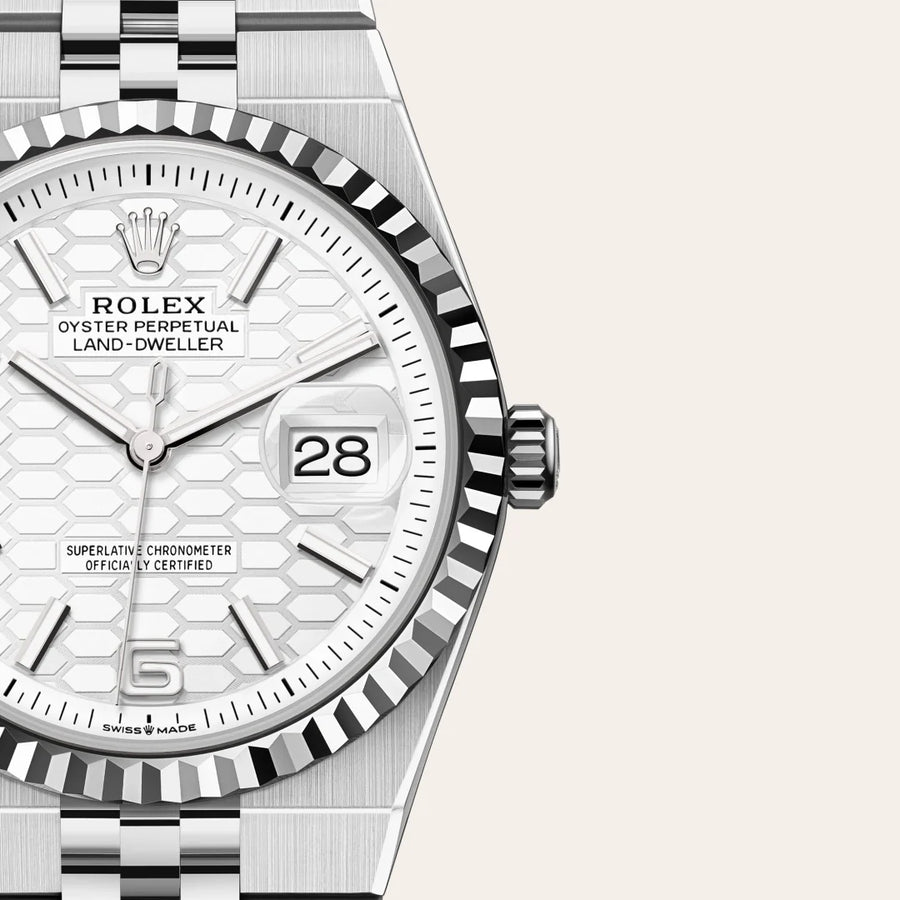 Land-Dweller 36mm Oystersteel & White Gold M127234-0001 — image 2