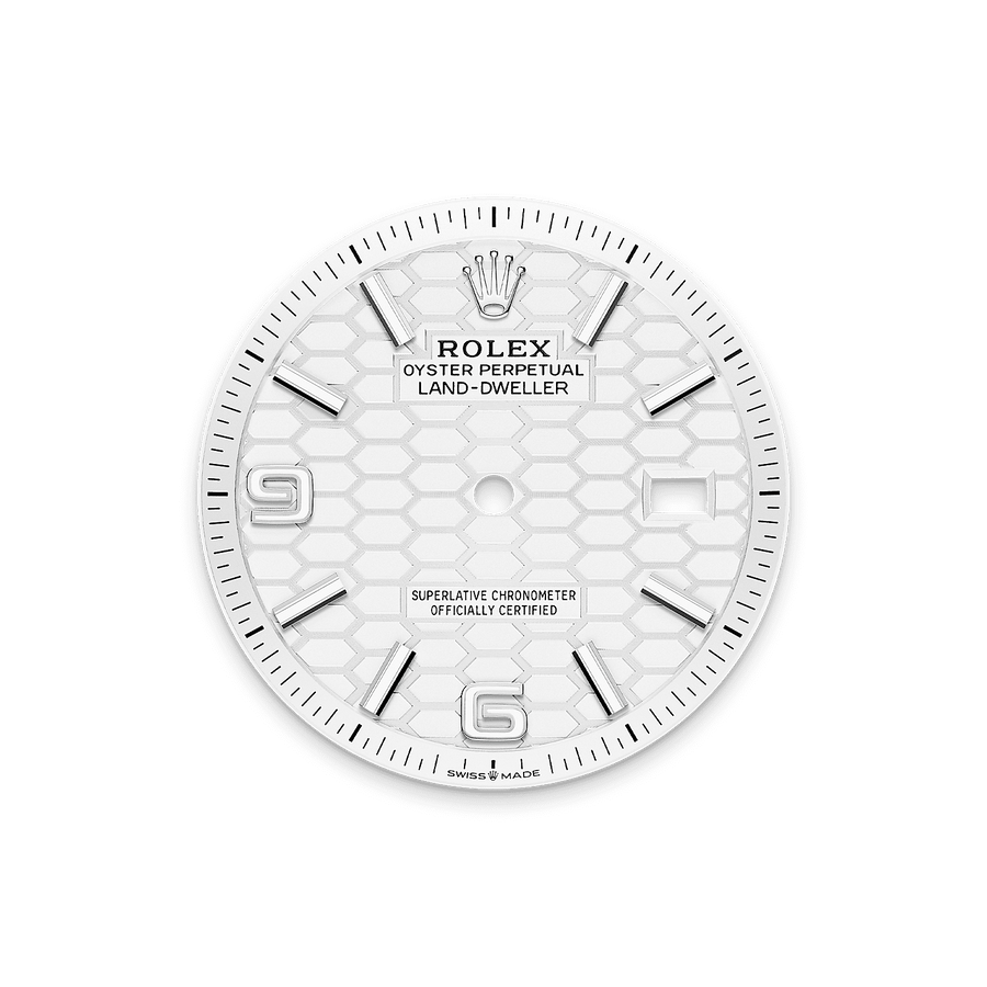 Land-Dweller 36mm Oystersteel & White Gold M127234-0001 — image 3