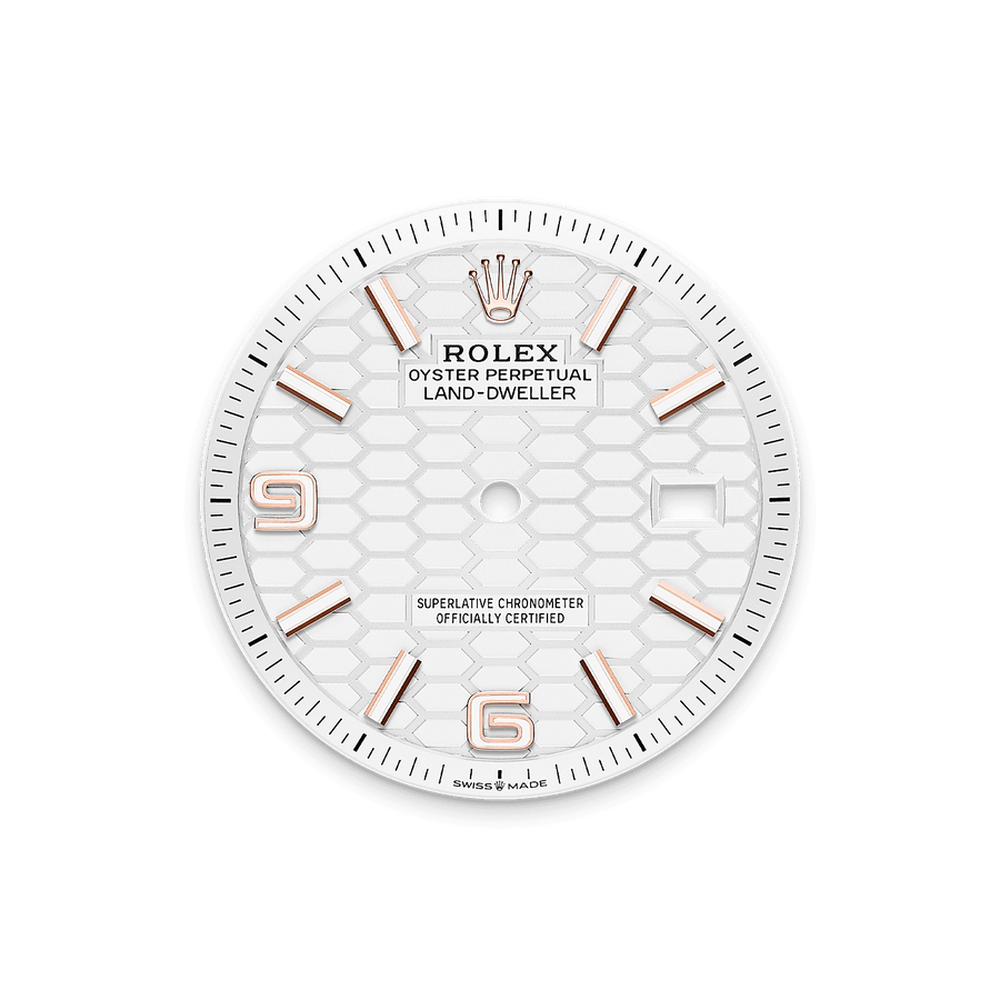 Land-Dweller 36mm Oyster Everose Gold M127235-0001 — image 3