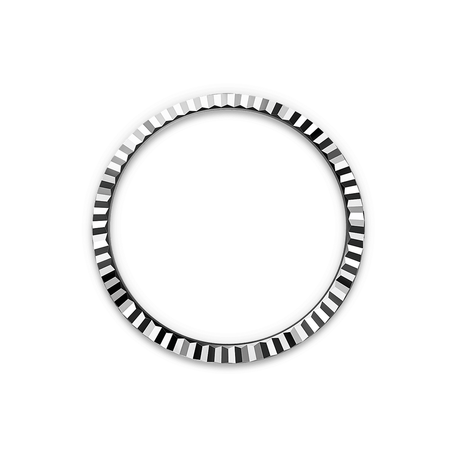 Land-Dweller 40mm Oystersteel & White Gold M127334-0001 — image 4