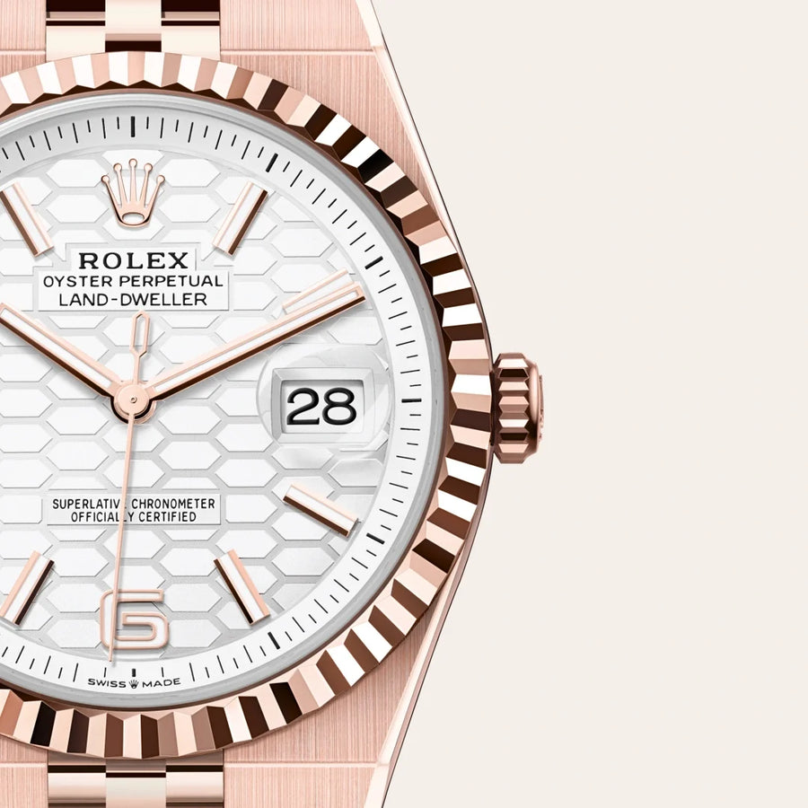 Land-Dweller 40mm Oyster Everose Gold M127335-0001 — image 2