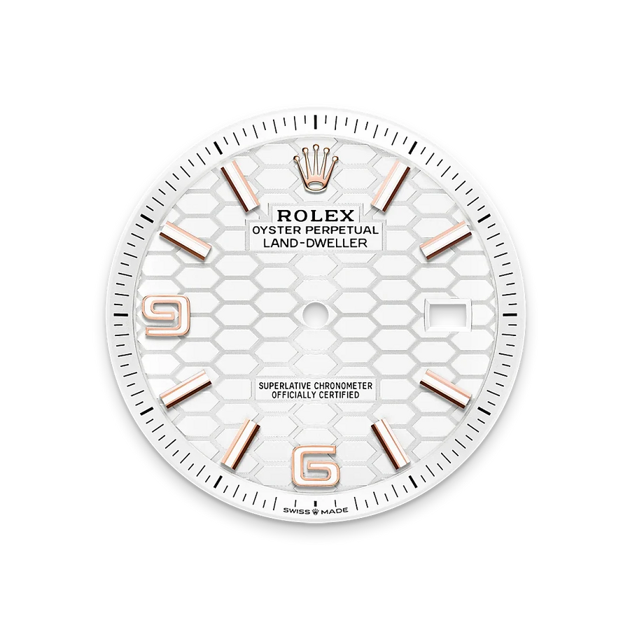Land-Dweller 40mm Oyster Everose Gold M127335-0001 — image 3